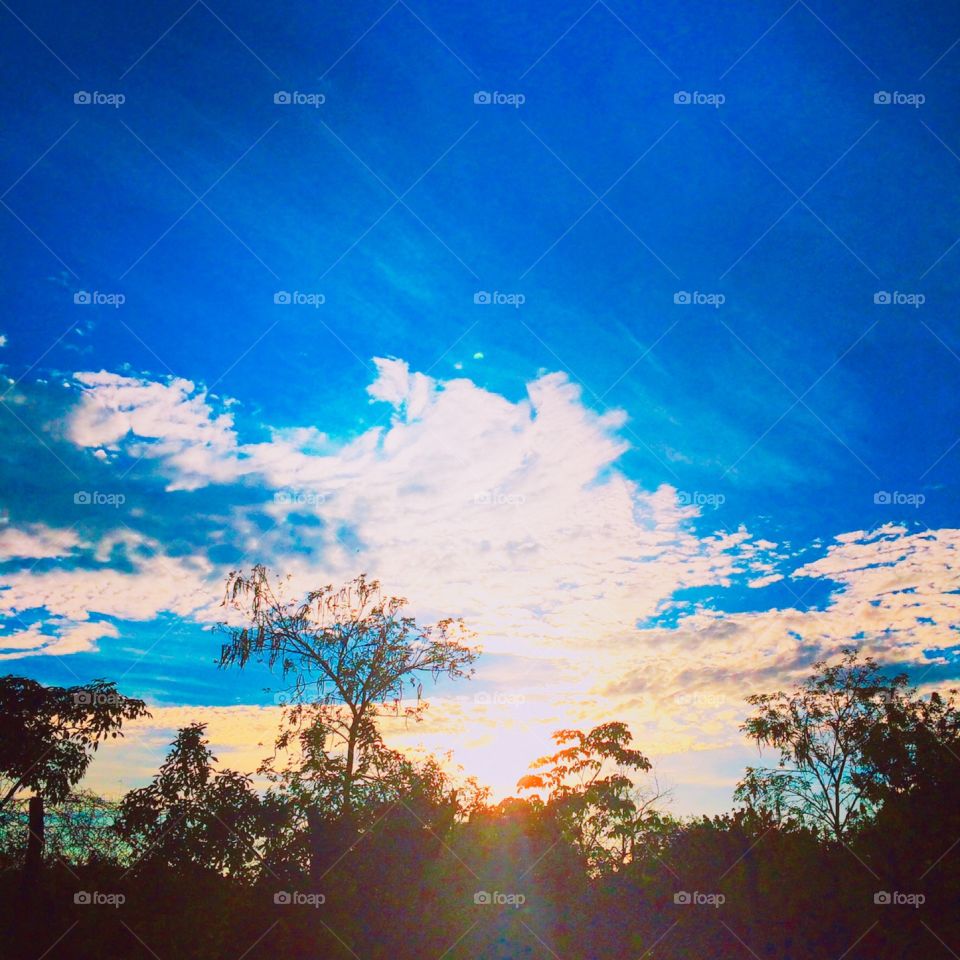 🌅Desperte, Jundiaí.
Que a jornada possa valer a pena!
🍃
#sol #sun #sky #céu #photo #nature #morning #alvorada #natureza #horizonte #fotografia #pictureoftheday #paisagem #inspiração #amanhecer #mobgraphy #mobgrafia #Jundiaí #AmoJundiaí