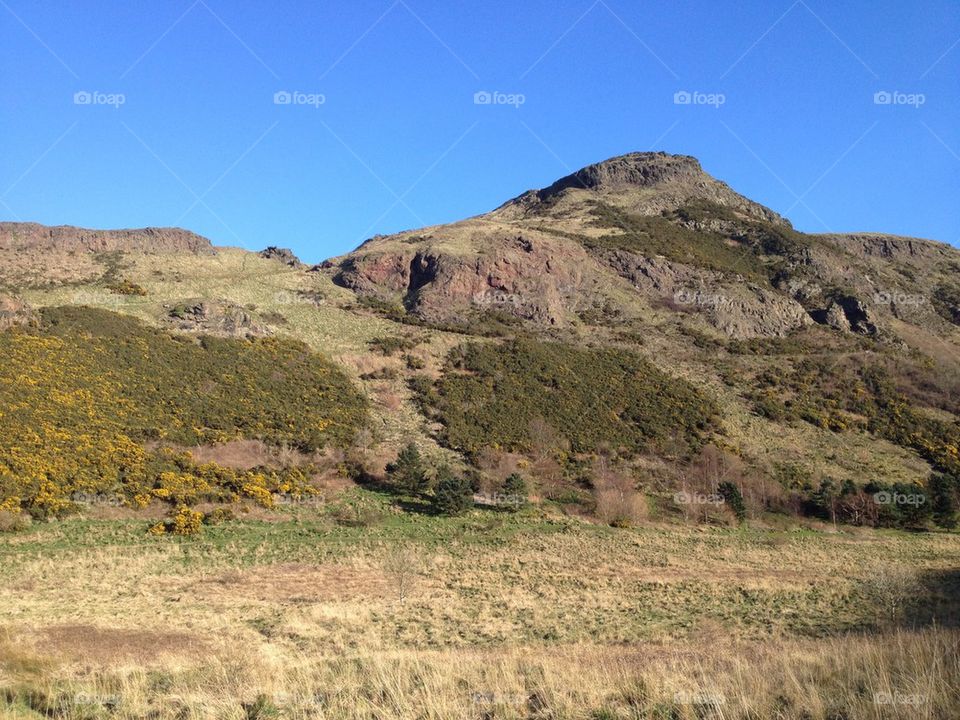 Hollyrood Park