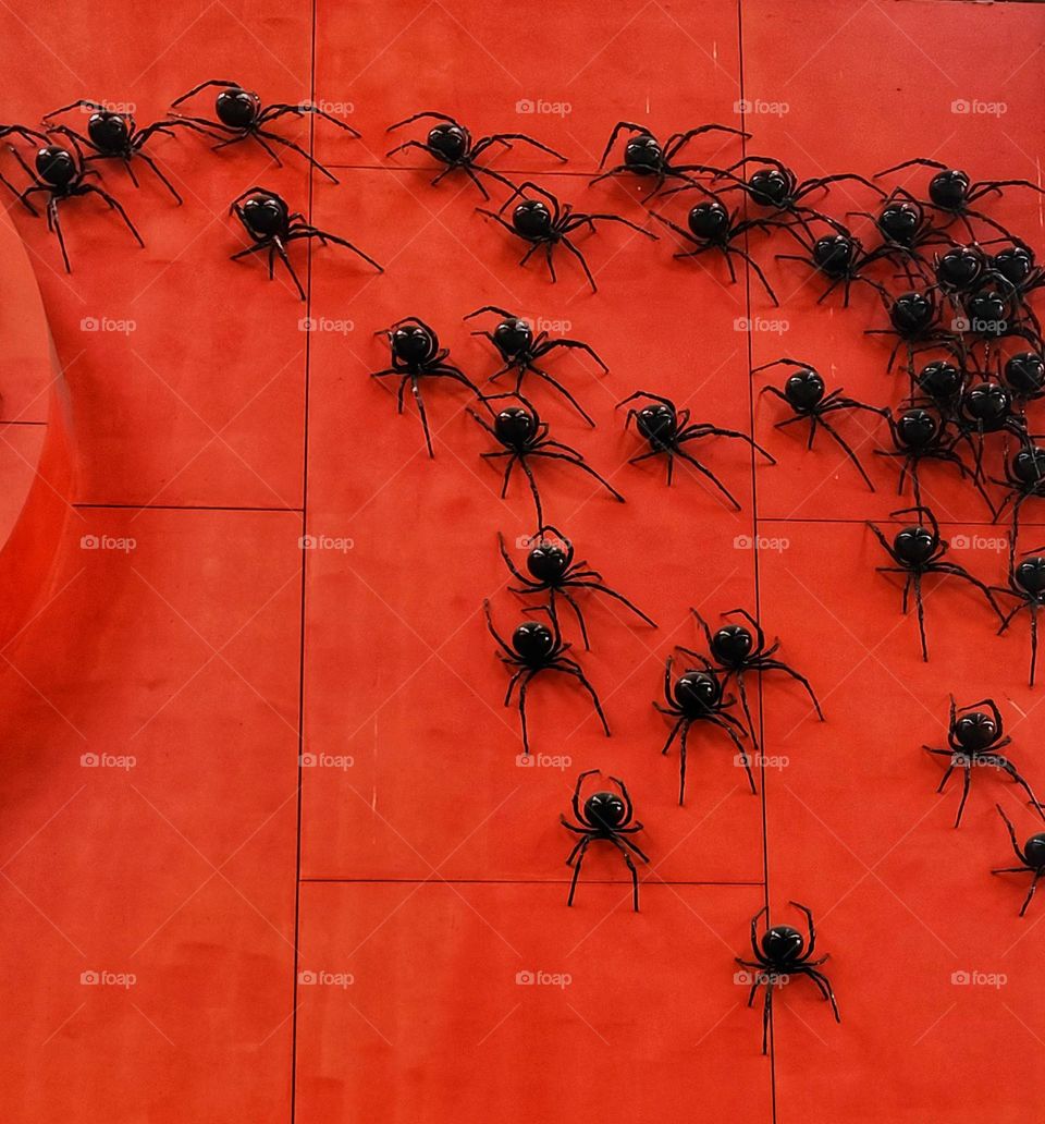 Spiders on the red wall