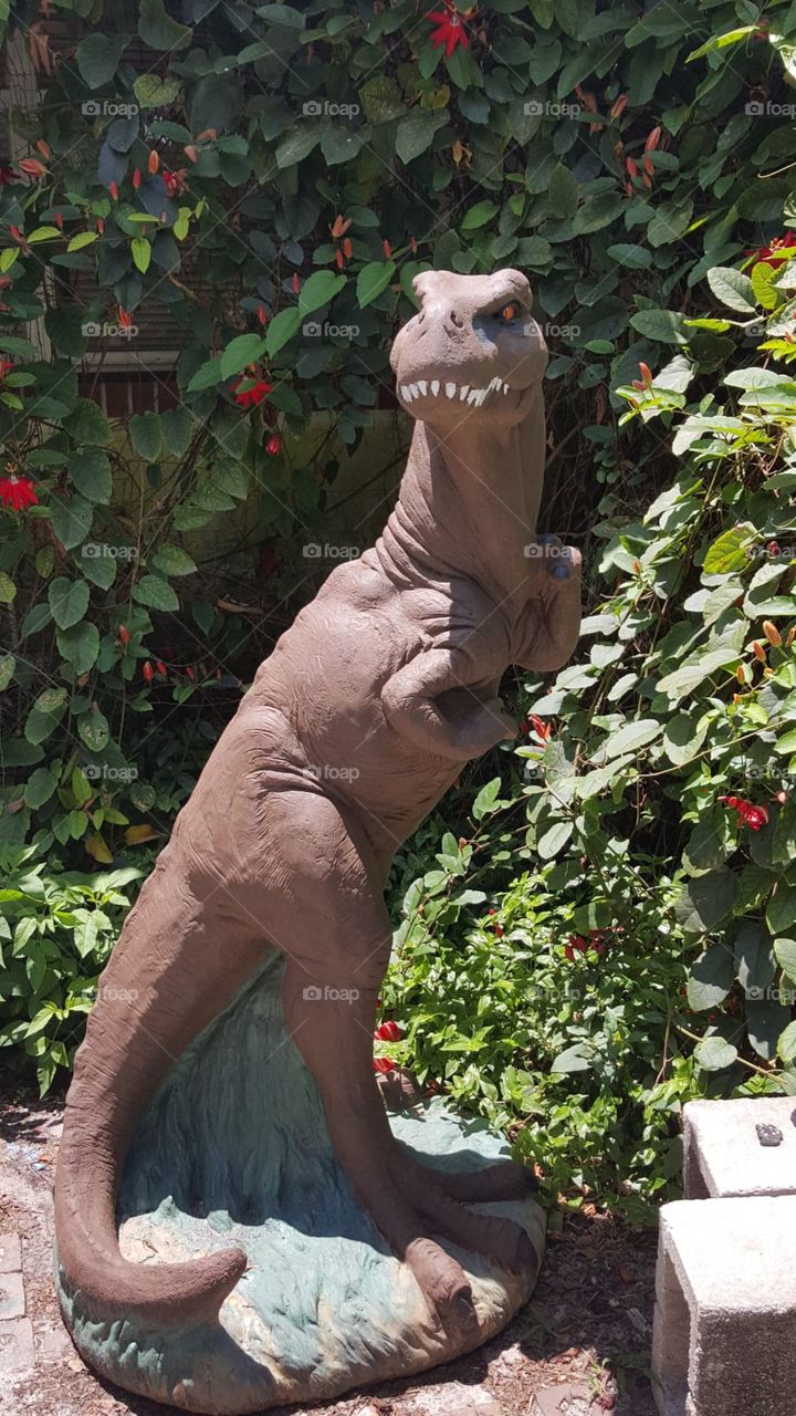 dinosaur