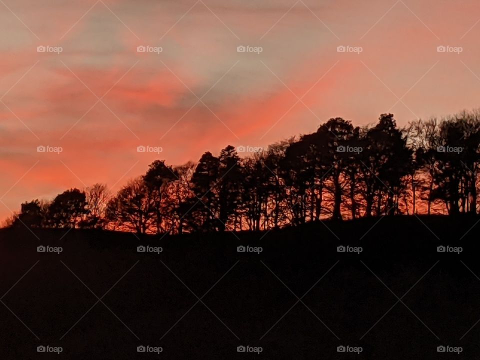 A silhouette of trees on a hill at sunset. The sky is streaked with orange clouds