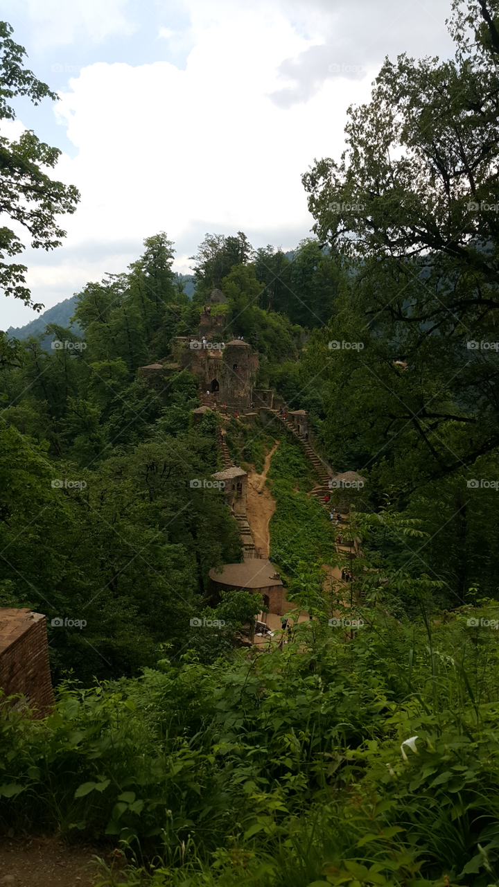 castle in the forest and mountains