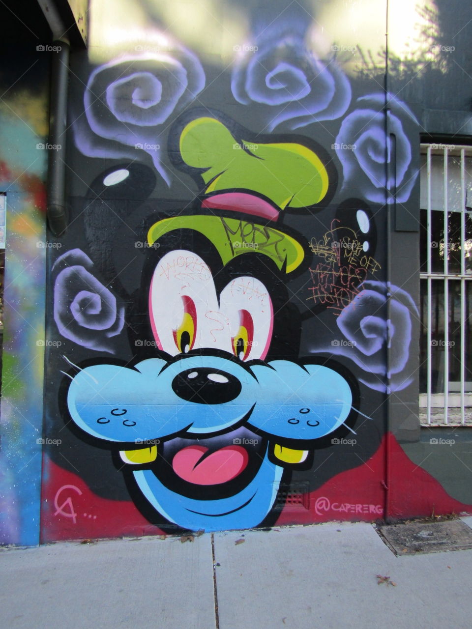 stoned goofy