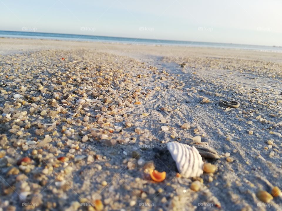 Sable et coquillage