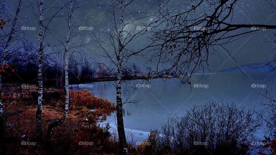 sky#birch#lake#nature