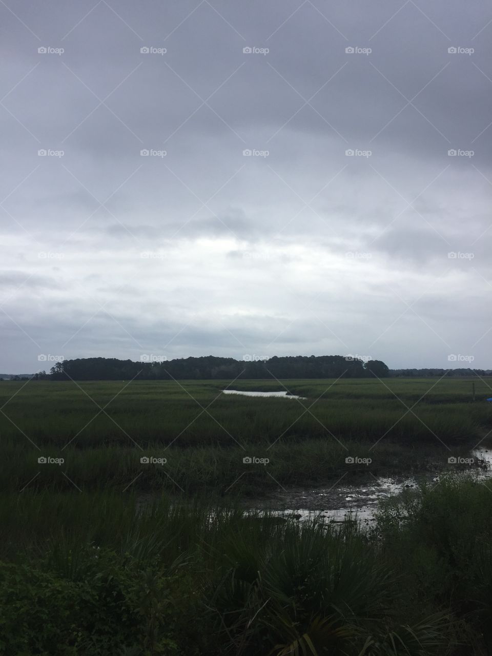 Savannah Marsh on a cloudy day