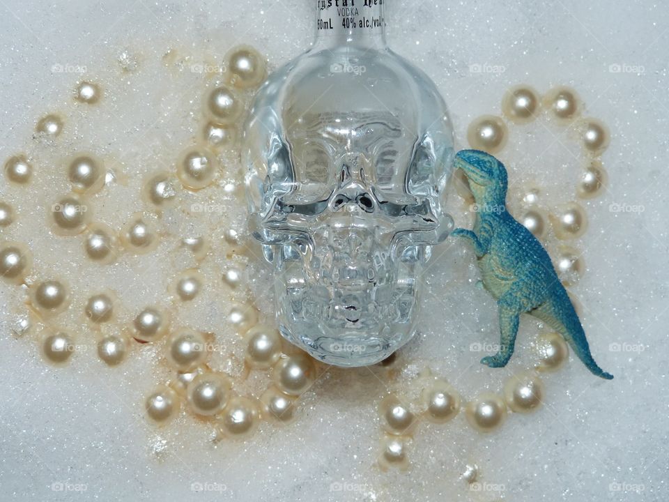 dinosaur, snow, pearls, vodka skull