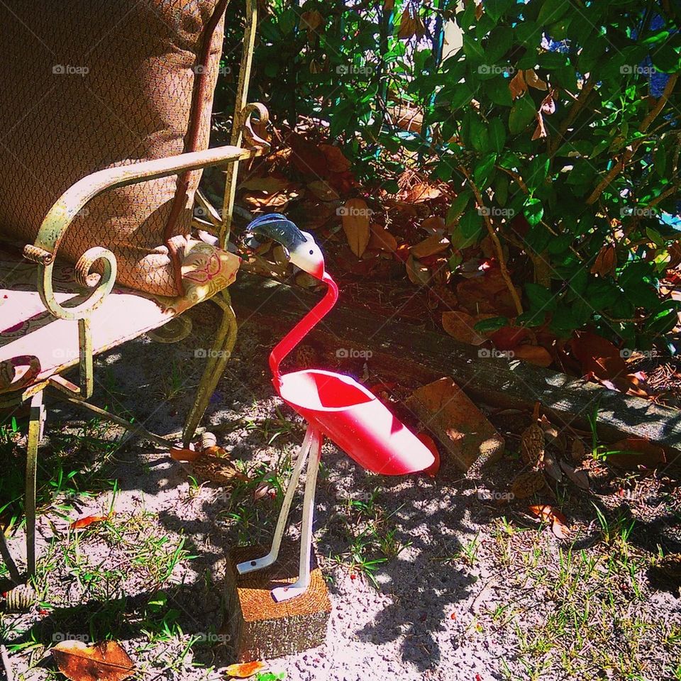 Garden Flamingo 