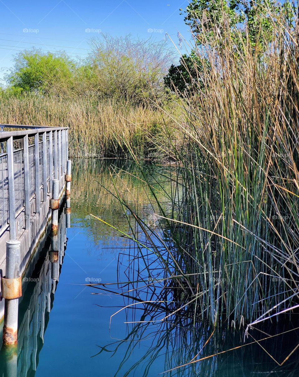Walking Bridge On the Lake