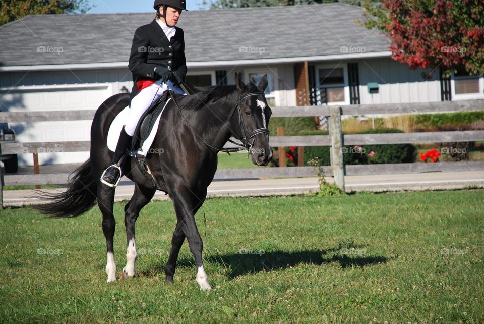 Riding jacket reds. Formally dressed rider on s black horse 