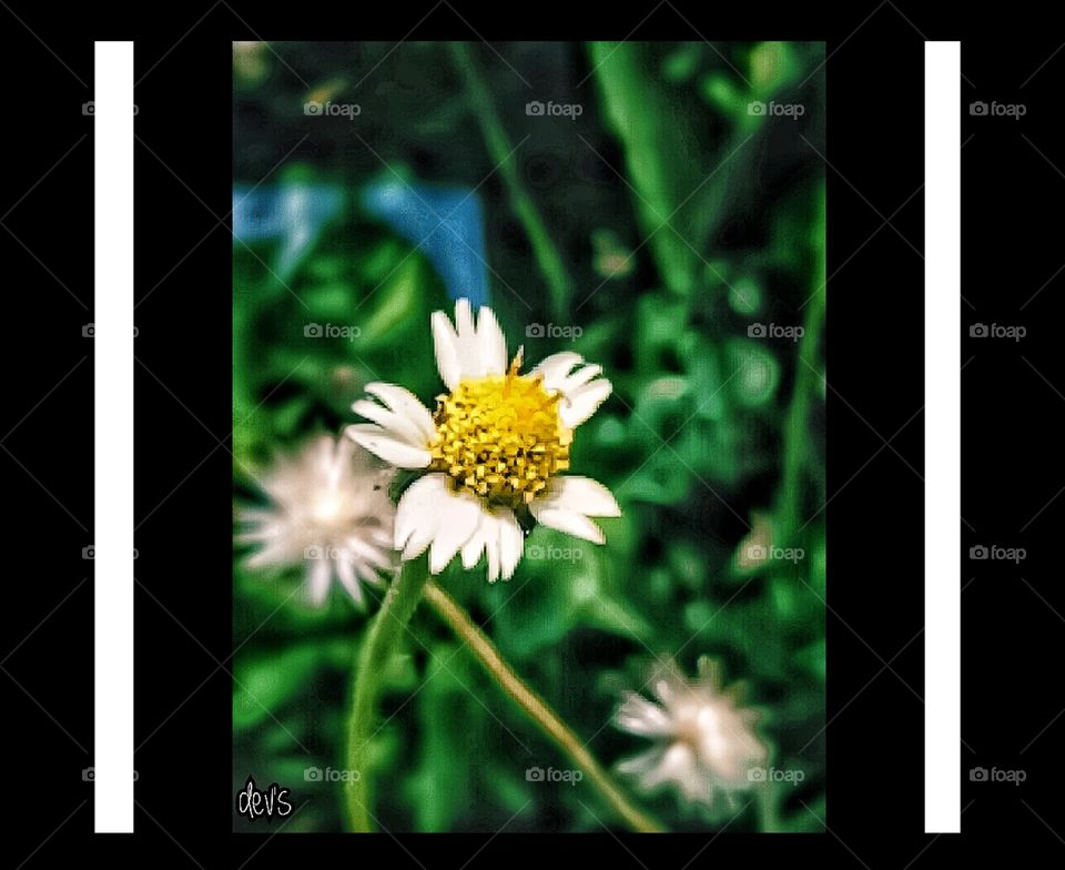 Something small will be better if we pay attention on it