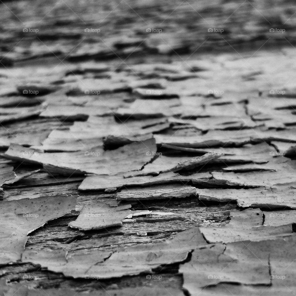 Close-up of black and white peel