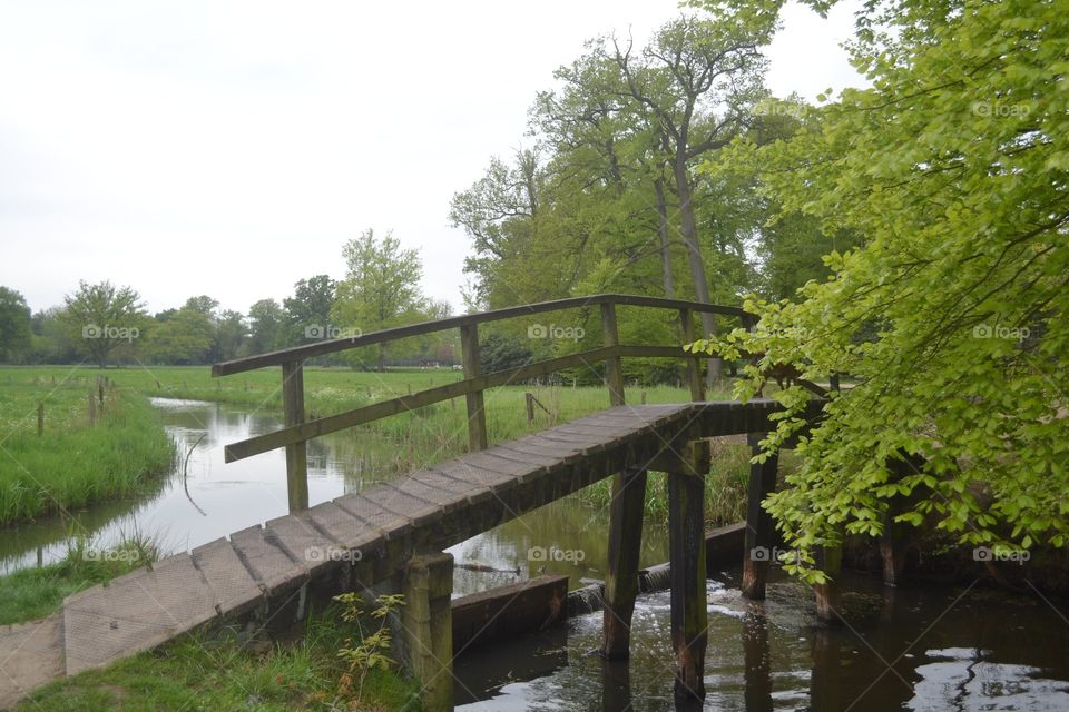 Wooden bridge.. A typicle Dutch landscape.
