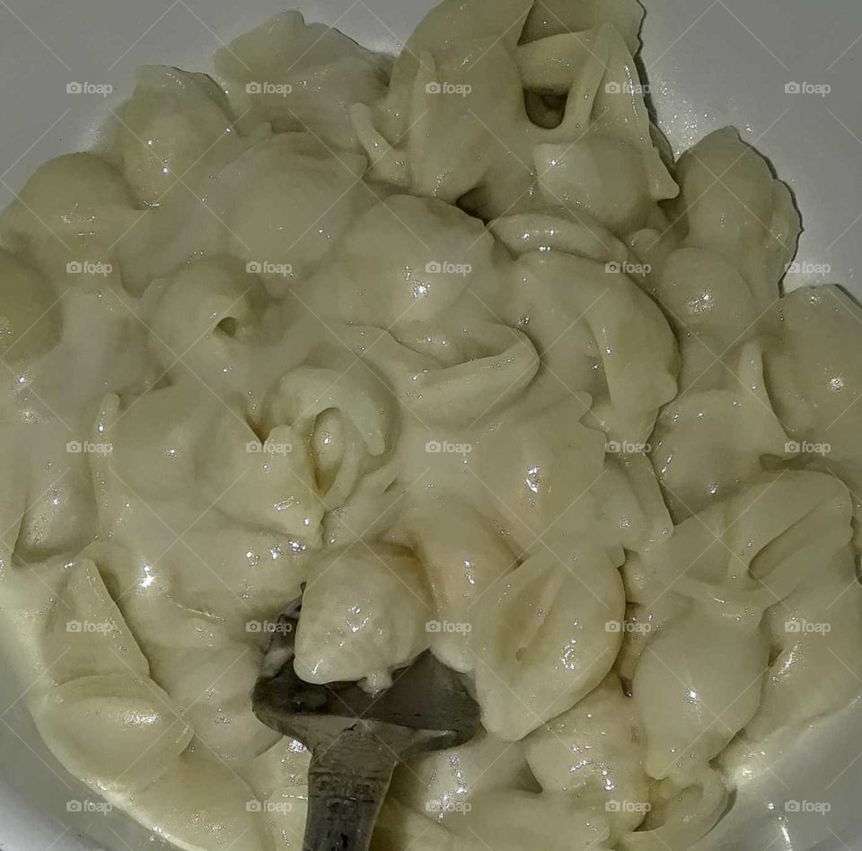 pasta