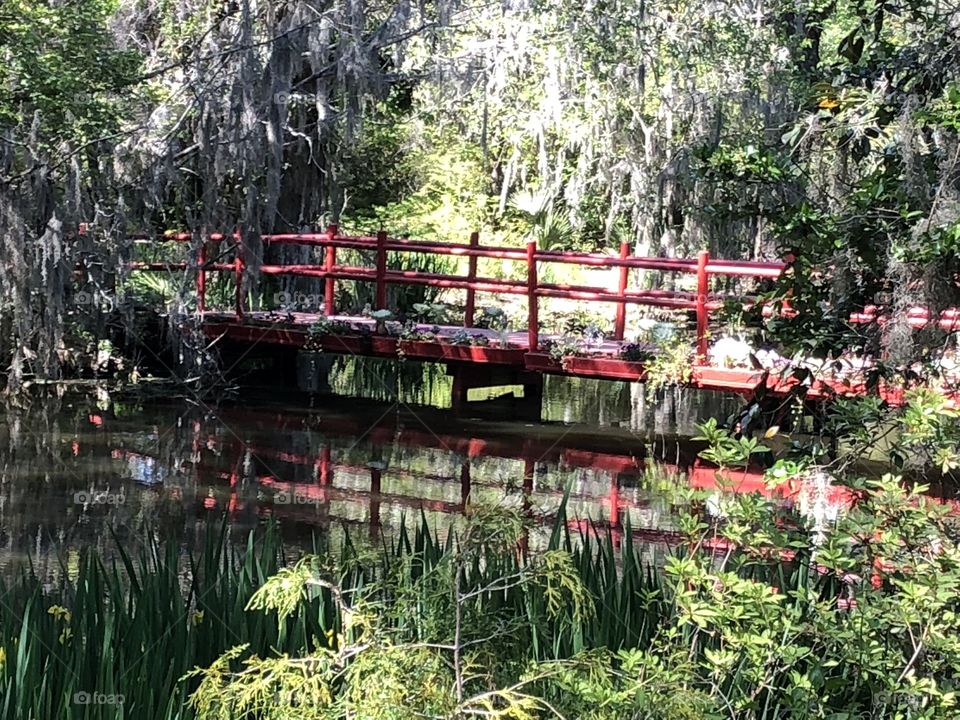Red Bridge, Magnolia plantation, South Carolina