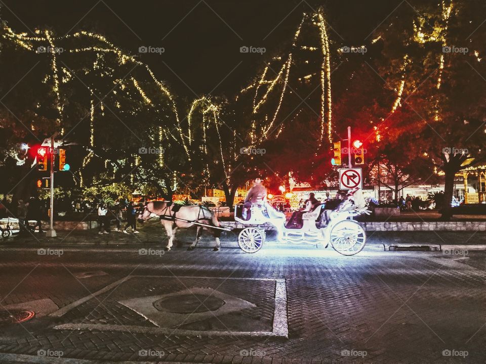 White horse carriage and white horse at stop in front of mature trees decorated with white Christmas lights at night.