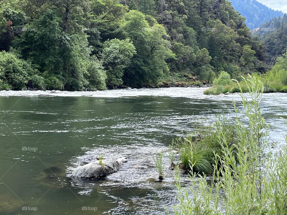 Rogue River beauty. I love almost any part of this river.