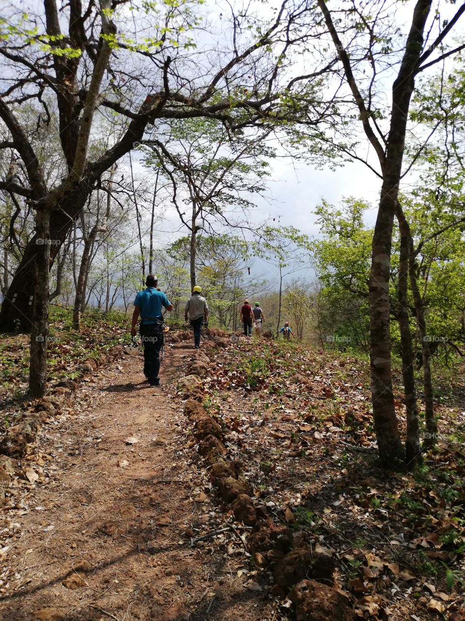 walking headed to take the canopy