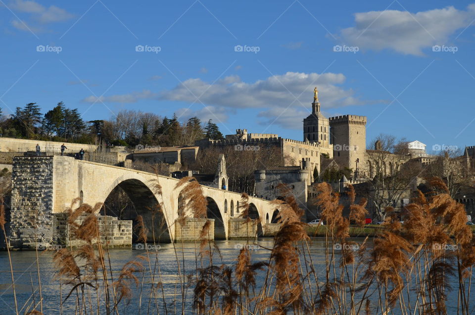 bridge and palace of popes in Avignon