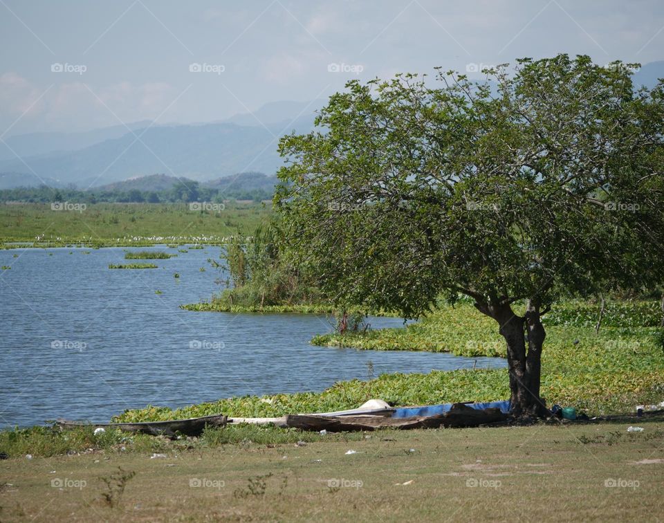 Nivel Shade at Jucutuma's Lagoon