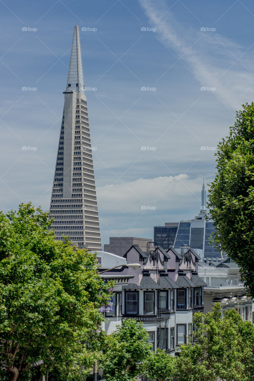 Transamerica Pyramid 