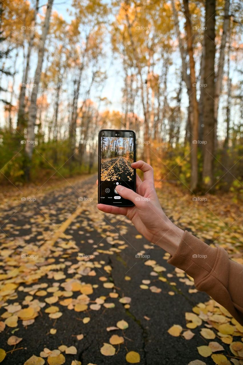 Taking pictures of fall colors