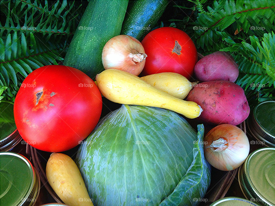 garden fresh tomato onion by vickikl3