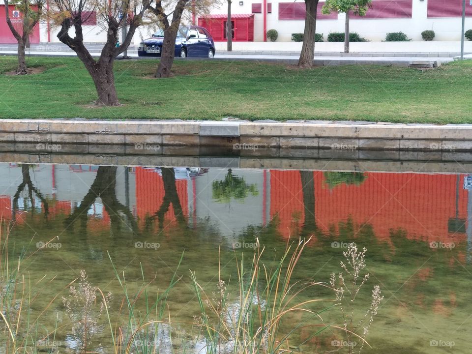 reflejos