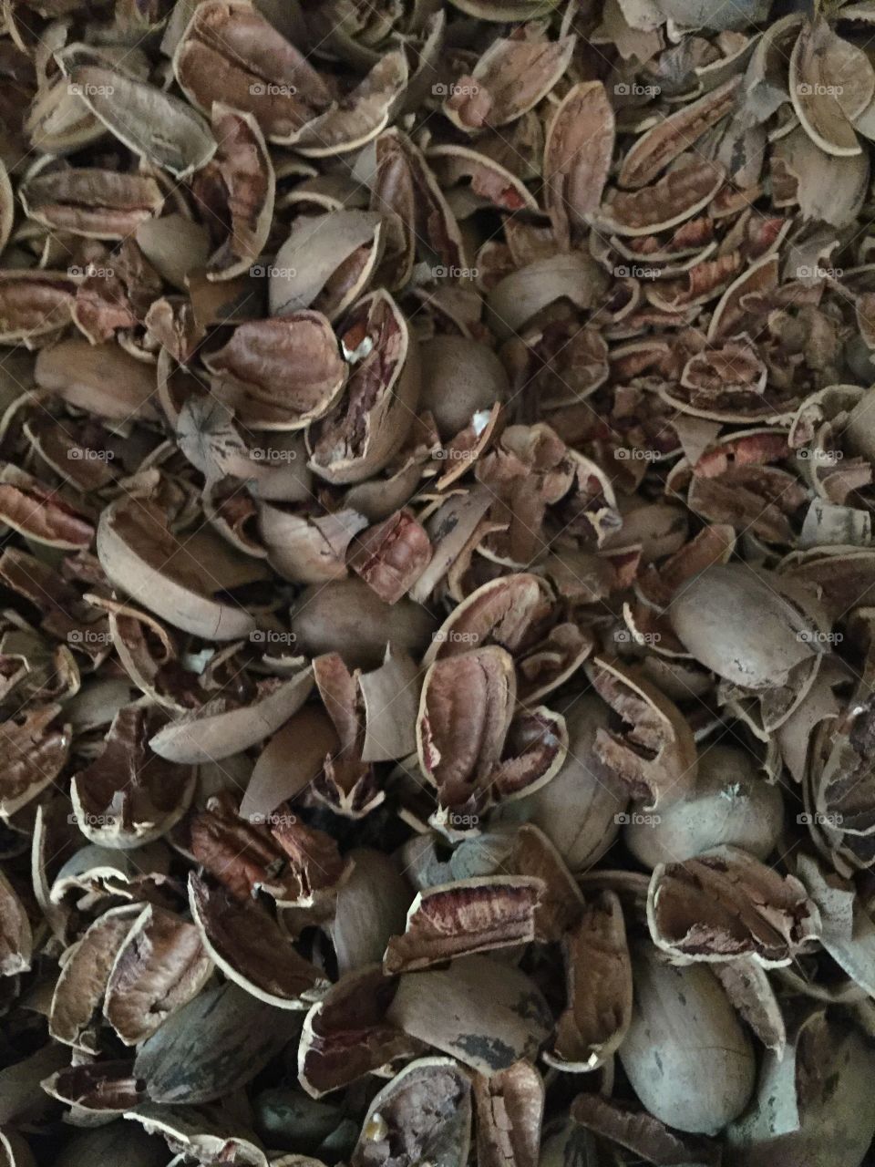 Pecan shells