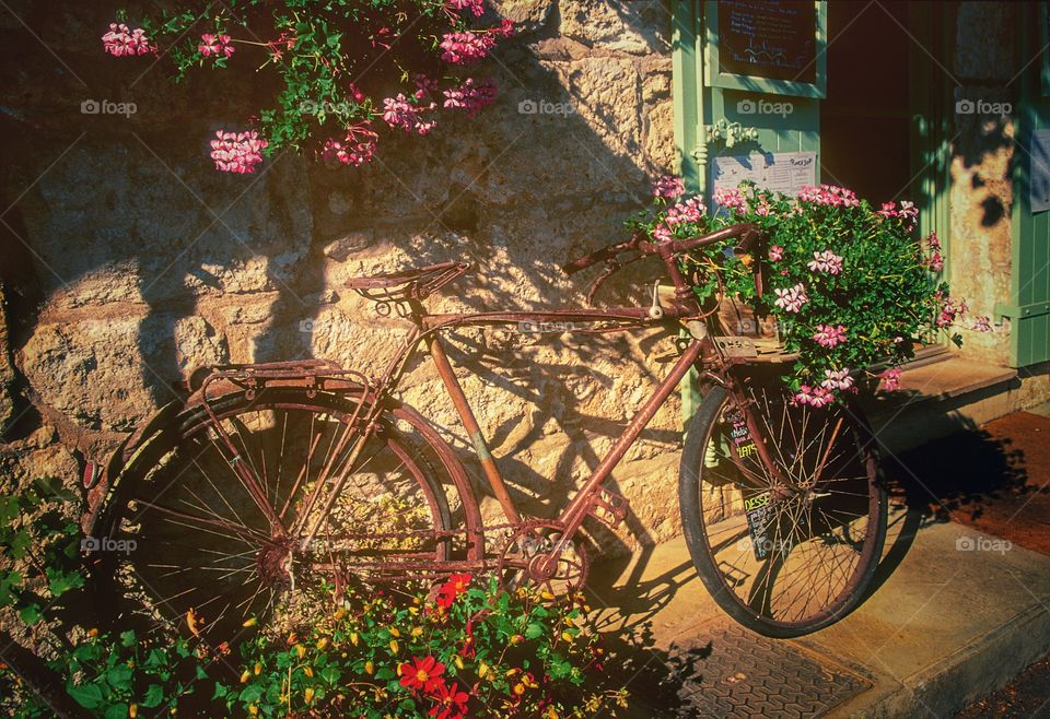 Bicycle. Village