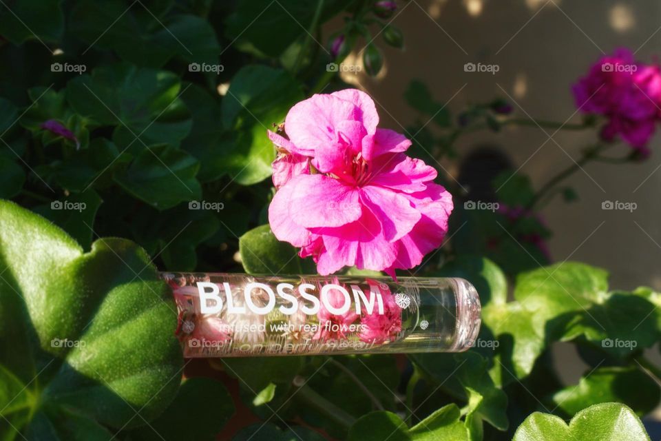 Blossom - perfume with flowers