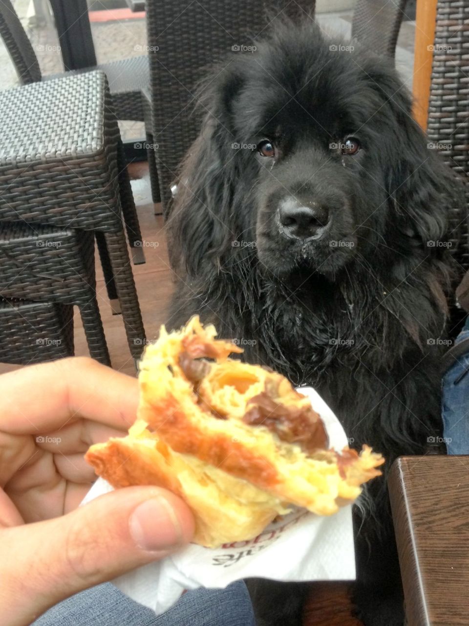 Margot and the croissant 