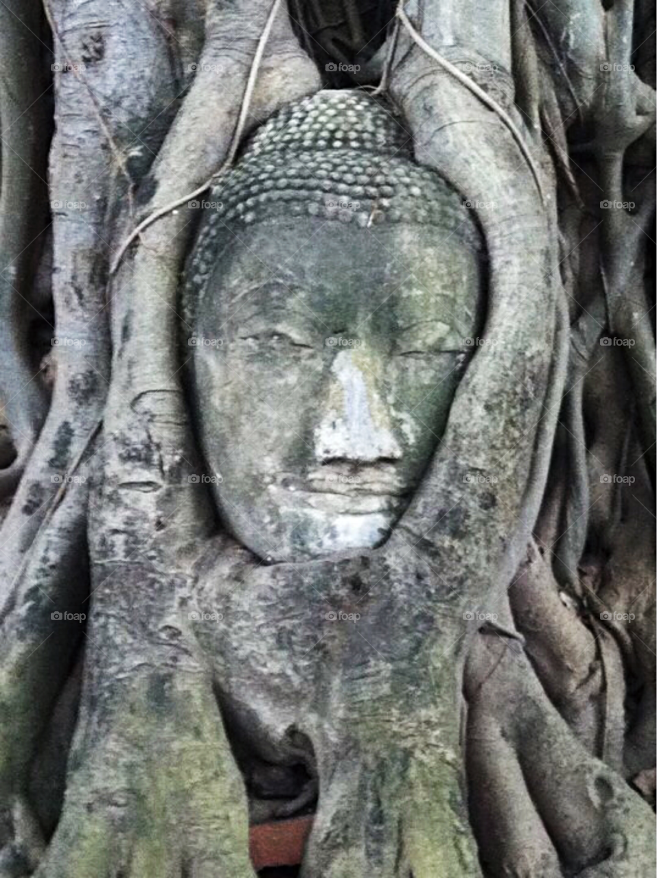 Amazing - Ayutthaya,Thailand