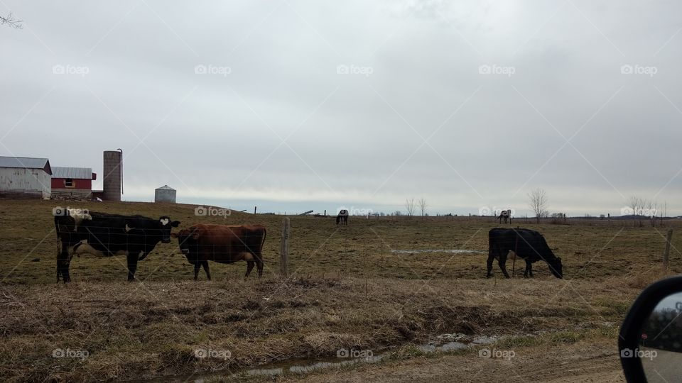 A Very Windy Cold Rainy Day In March