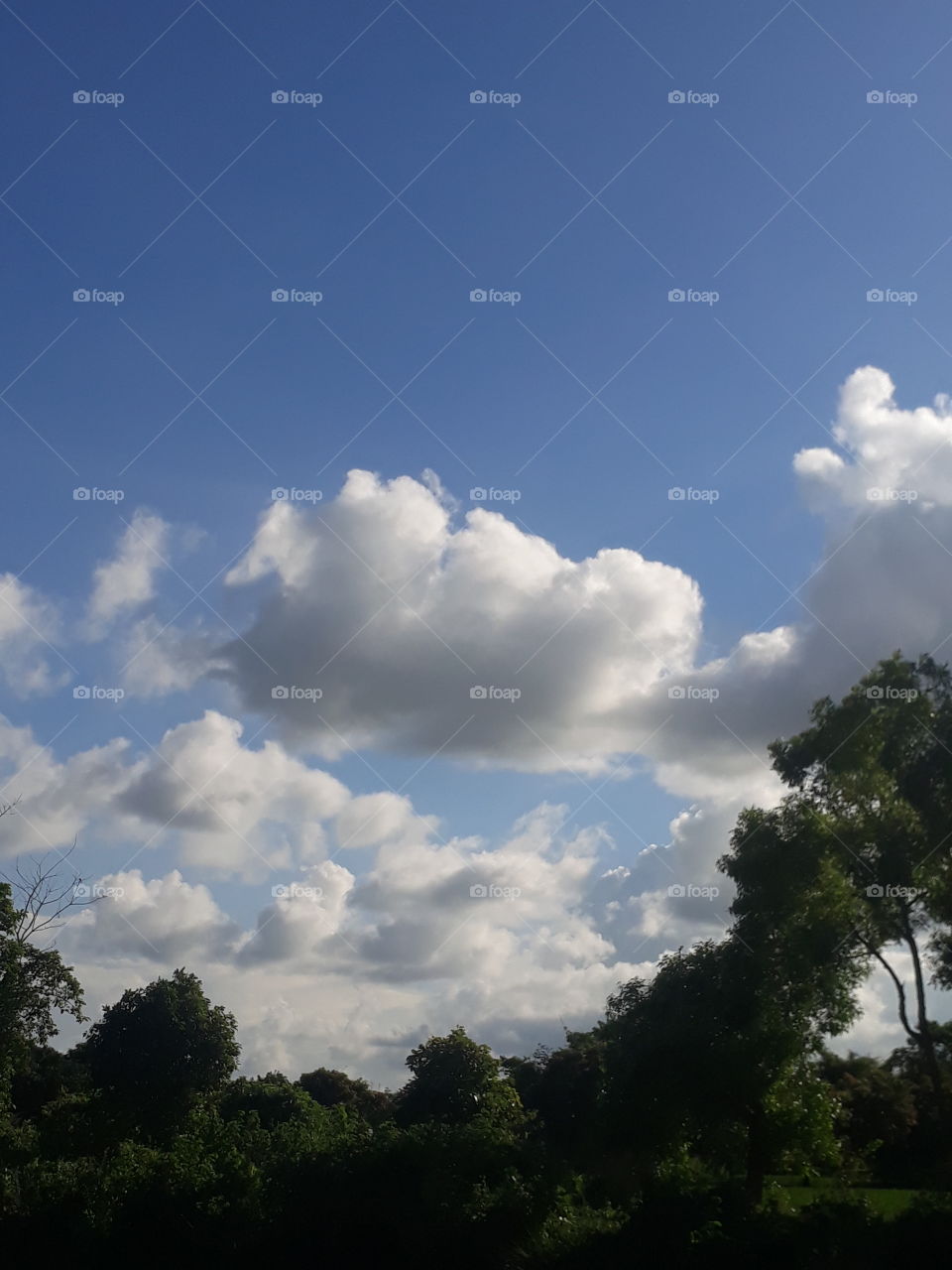 Beautiful sky and cloud in the sky