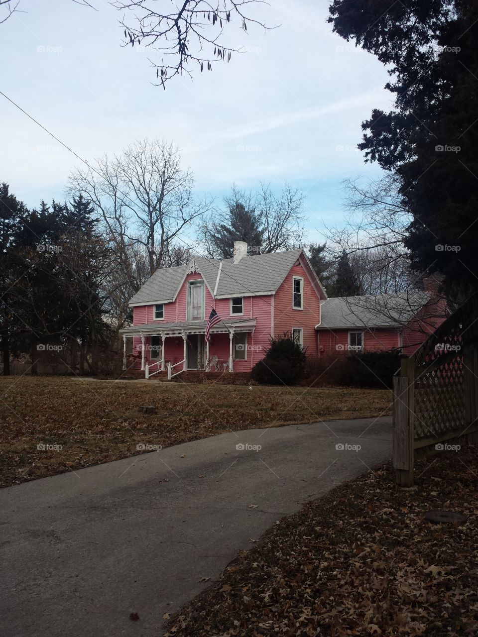 Pink Victorian House