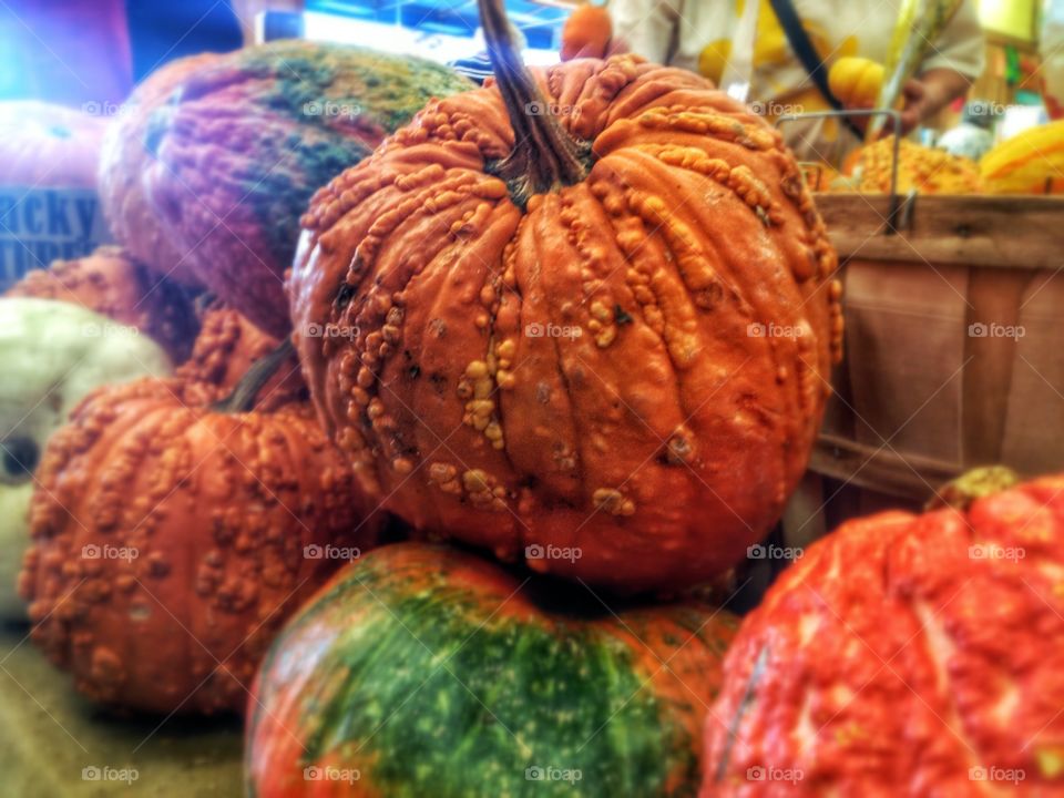 Zombie Pumpkins. I don't know how I should feel for these. 😂