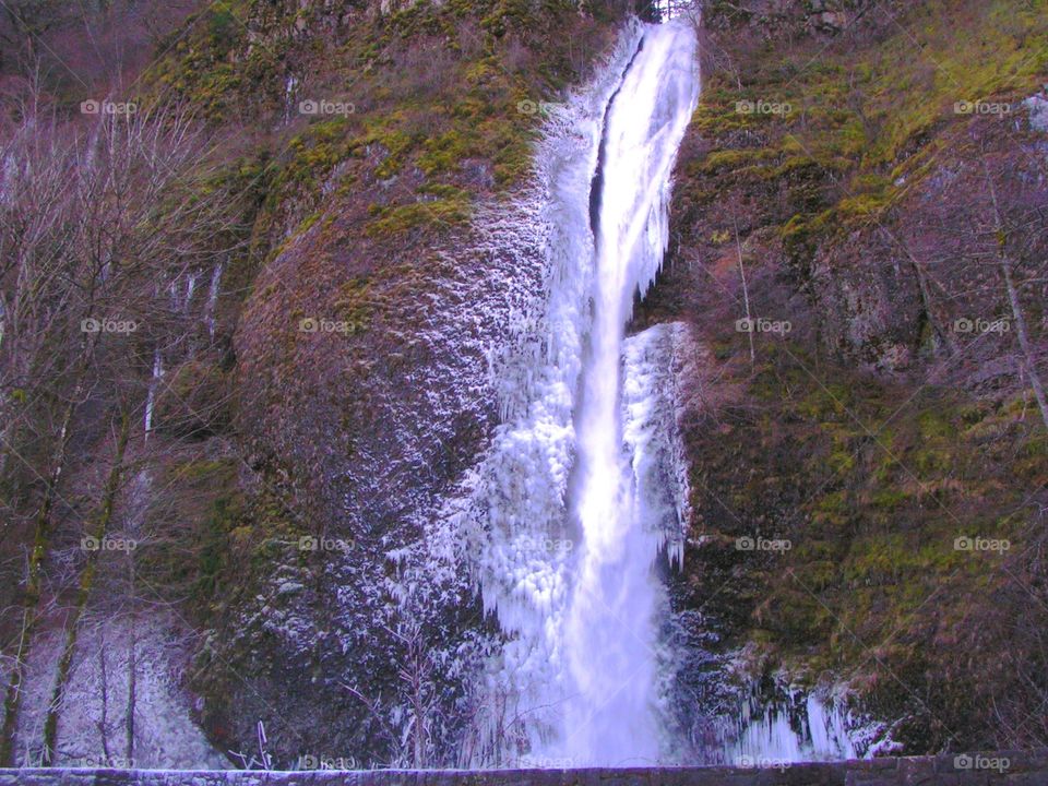 Multnomah Falls in the Columbia River Gorge Oregon