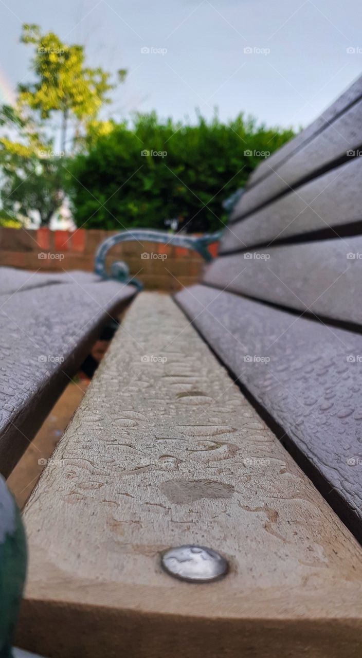 "Photography is an art of observation. It's about finding something interesting in an ordinary place. It has little to do with things you see and everything to do with how you see them."
-Elliot Erwitt.