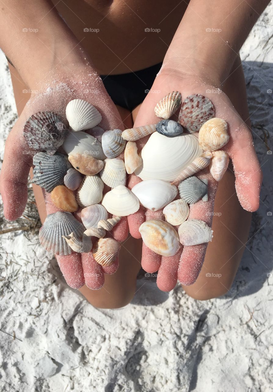 A person holding seashells on hand