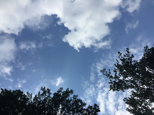 Sunny day