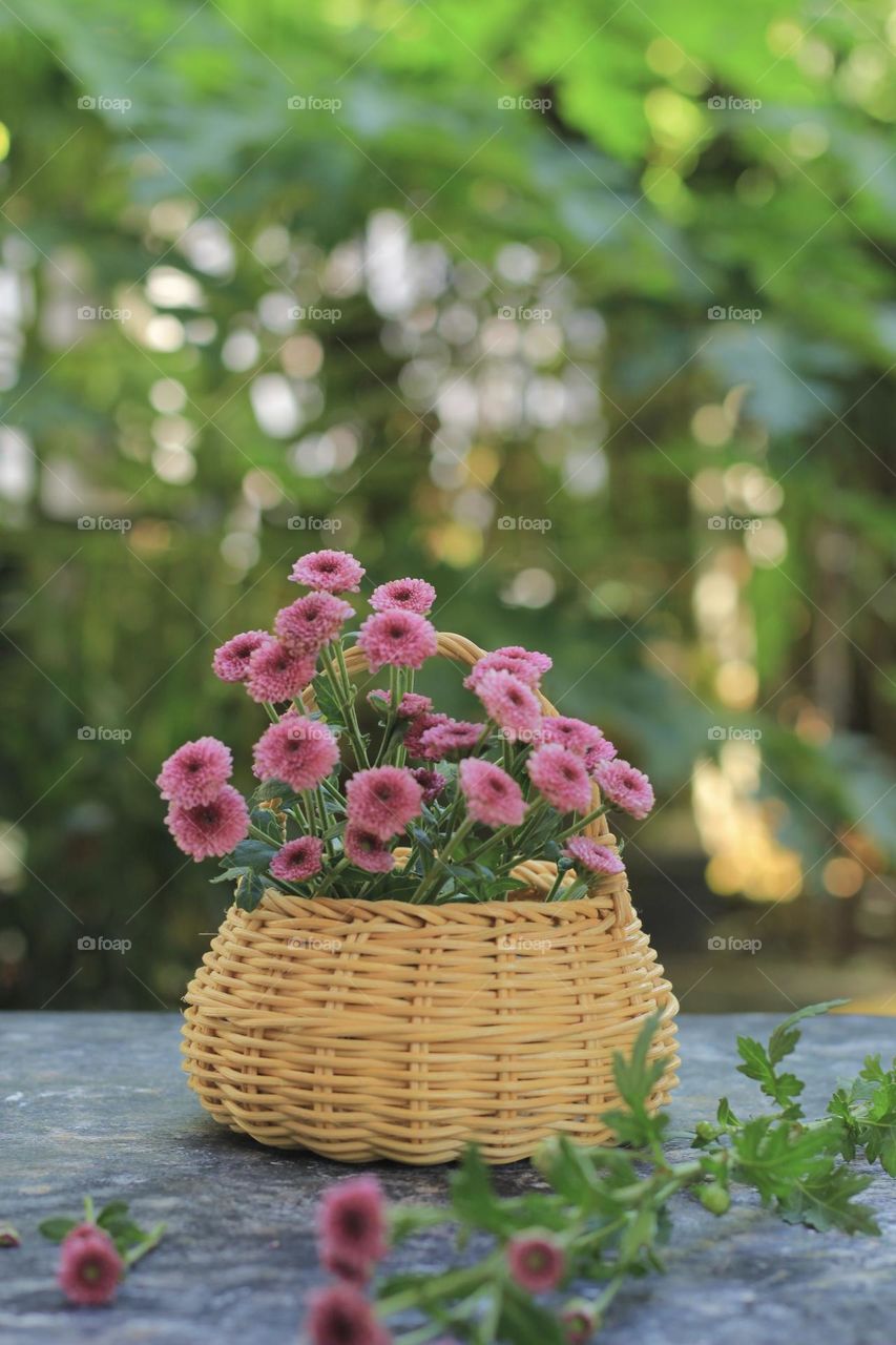 Pink flowers in a rattan vase on hand