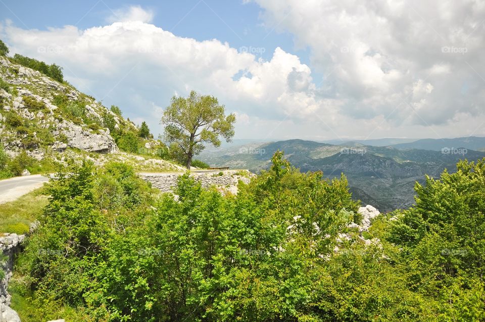 Scenic view of forest and mountain against cloudy sky