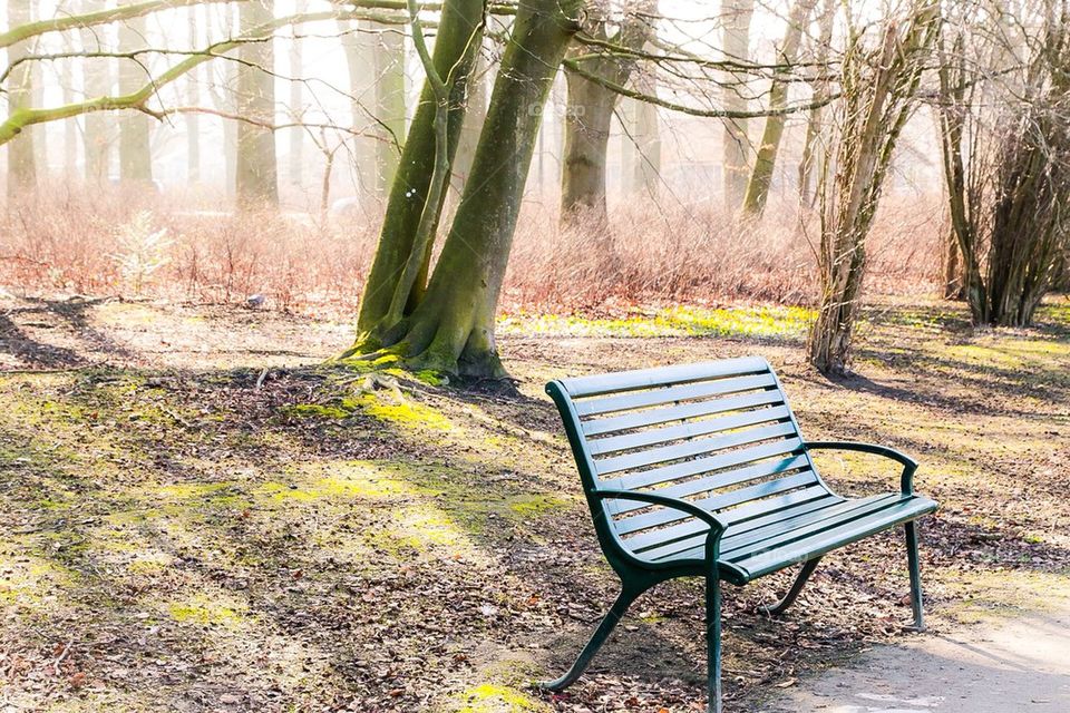 Parkbänk i pildammsparken i vårsolen 