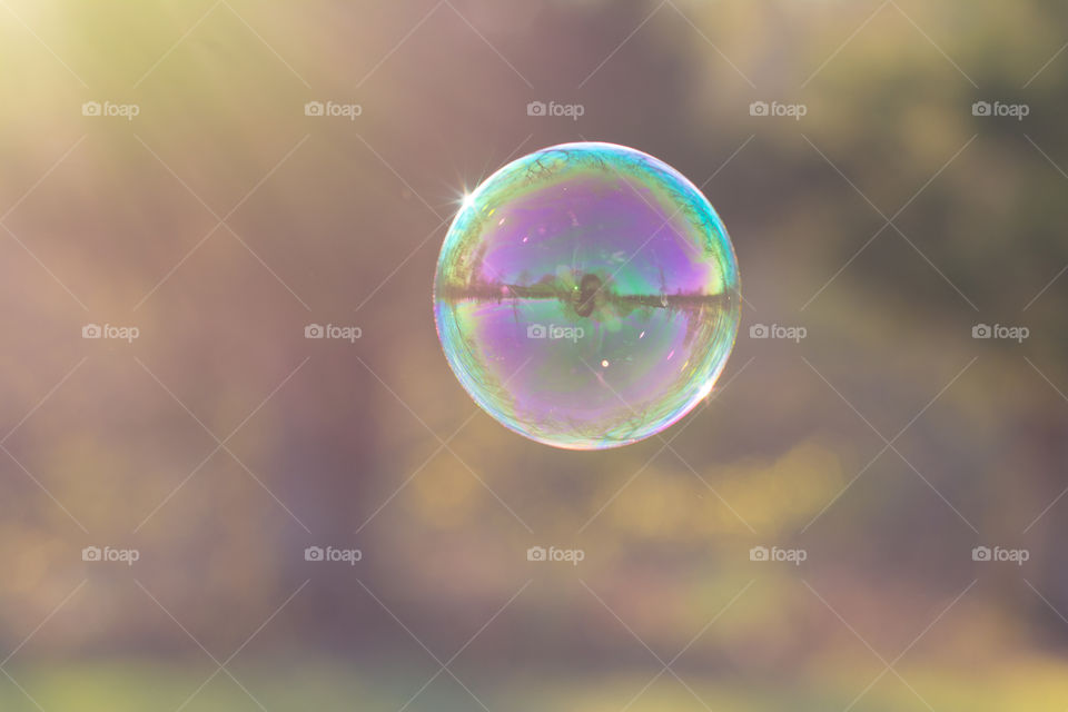 Close-up of soap bubble