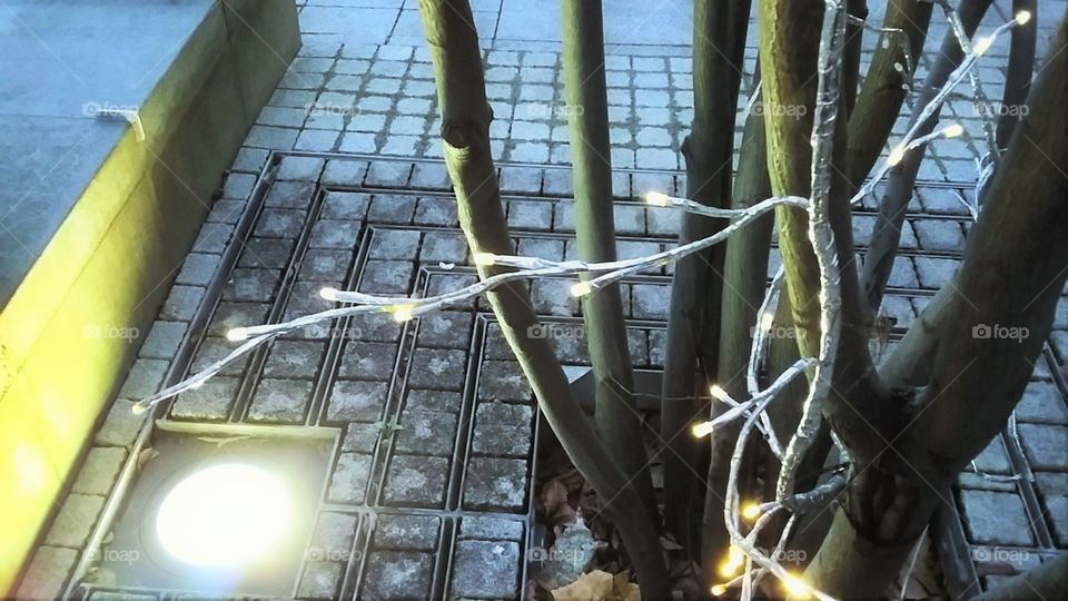 Street Christmas Lights