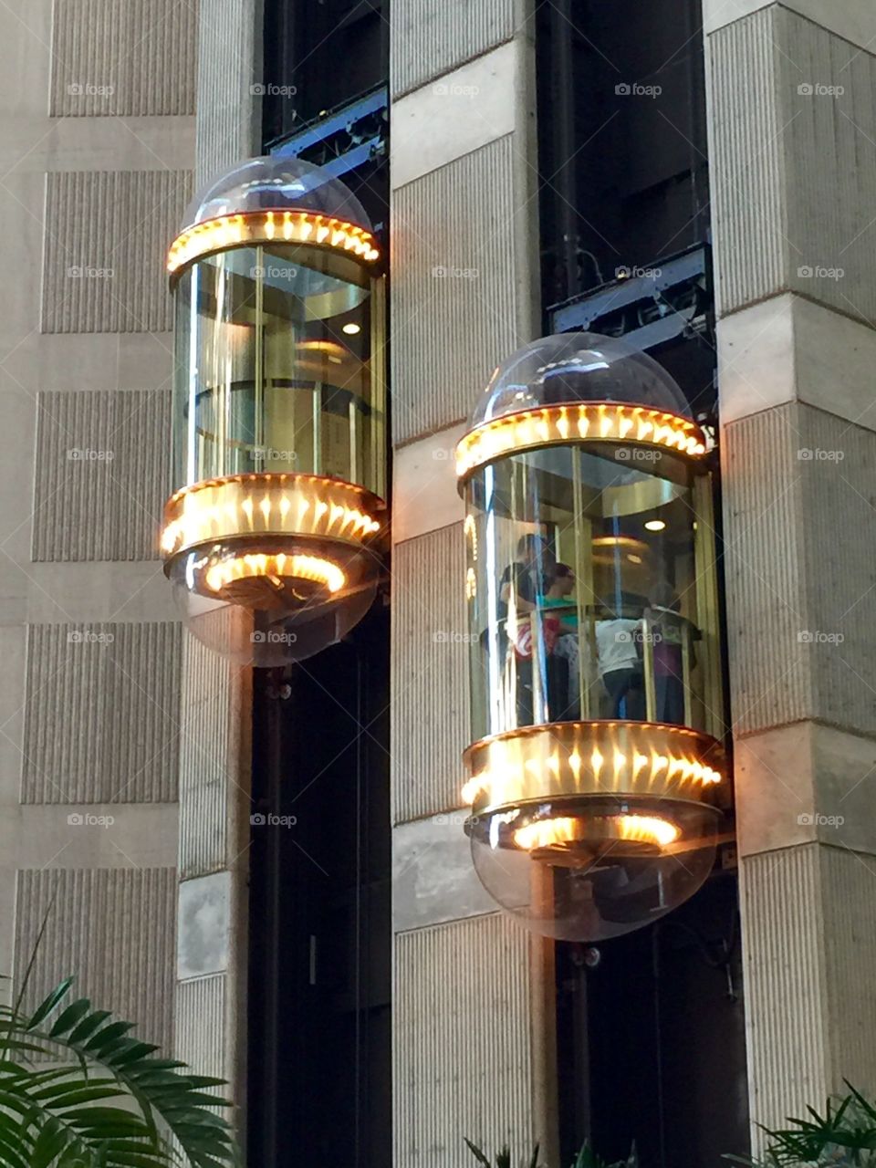 Glass Elevators