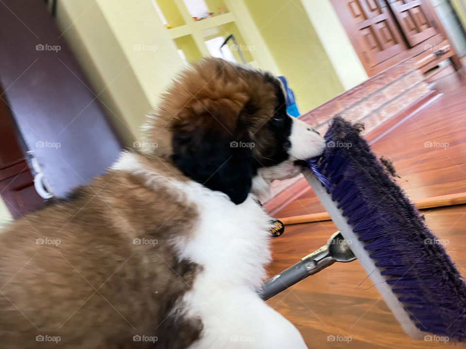 Help with the chores 