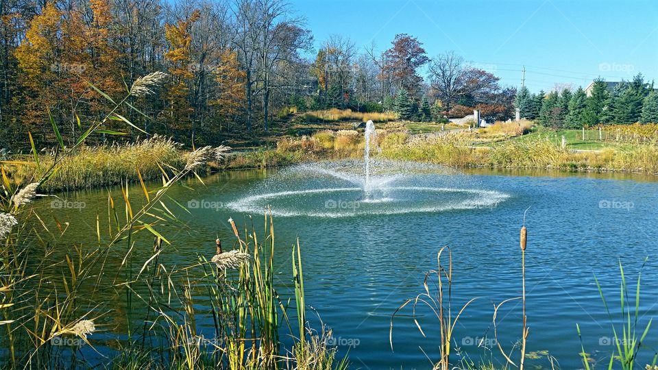 Fountain in the Pond!