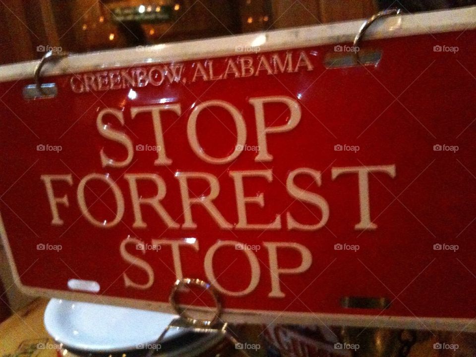 Stop Forest Stop!